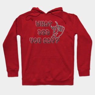 What Did You Say ? Funny Tshirt - Best funny design Hoodie